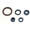 Athena P400220400255 Serie Paraoli Motore
