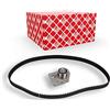 FEBI BILSTEIN Kit cinghie dentate 22056 | Compatibile con: MITSUBISHI CARISMA, CARISMA Stufenheck, SPACE STAR Großraumlimousine, NISSAN INTERSTAR Bus, INTERSTAR Kasten