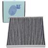 BLUE PRINT Filtro, Aria abitacolo ADBP250065