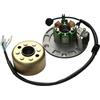 DQJSUU Bobina Statore Generatore Kit Rotore Volano A 4 Fili, Bobina A 2 Poli, Statore Magnete Per Motore Generatore Per Moto Da Per Cross Per Zo&ngshen 150CC Xmotos Kaya