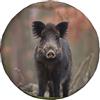 NIBABAEU Copertura per ruota di scorta, stampa con cinghiale, impermeabile, antipolvere, per pneumatici da 35,5 cm