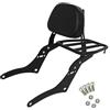 PDANBD Passeggero Schienale posteriore Schienale Moto Con Staffa Posteriore Bagagli Per CMX1100 CMX 1100 DCT Per Rebel 1100 1100T 2021-2024 2023 2022