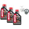Generico Compatibile con CF Moto CRF070031 Kit Tagliando Filtro Olio + 3LT Compatibile con Motul 7100 10W50 Per CLX 700 Ricambio Originale