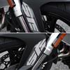 labelbike - Adesivi 3D Moto Parasteli Protezioni e Decorazioni in Resina Compatibile con Suzuki V-Strom 800SE