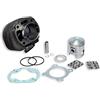 Malossi 317002 GRUPPO TERMICO MALOSSI 70CC D.47 MBK EVOLIS 50 2T SP.10 GHISA