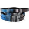 QINSHU Cinghia Trasmissione Cintura Multigola PK Cintura 3/4/5/6/7/8/9/10/12Ribs PK1370 PK1375 PK1376 PK1380 PK1383 PK1385 PK1387 PK1390 PK1392 PK1393 Drive Belt(PK1390,10ribs)