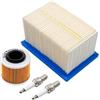 Road Passion 1*Filtri Aria & 1*Filtro Olio & 2*Candele di accensione Kit Compatibile con F650GS 2005-2007