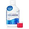 Swedish Nutra Integratore liquido collagene marino 10.000 mg - 500 ml, 20 giorni | Acido ialuronico, biotina, vitamina C per capelli, pelle, unghie, articolazioni | Senza zucchero | Per uomini e donne