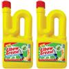 Avilia Set da 2 Disgorgante Stura Scarichi | Soluzione per il Drenaggio Idraulico | Sgorgo Rapido per Tubature | Disgorgante per Scarico | Liquido Sbloccante Scarico 750ml