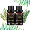Aphrosmile Aromaterapia Rosemary Oli essenziali di, 100% Pure oli essenziali di rosmarino Profumo Kit, 2 * 10ml terapeutico Grade Rosemary Aromaterapia oli essenziali Fragrance Set per diffusore, umidificatore