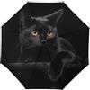 JiuPopular Ombrello pieghevole, motivo gatto nero, ombrello da viaggio, apertura e chiusura automatica per antivento, impermeabile
