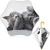 ODAWA Ombrello per bambini Grigio Gatto Carino Gattino Ombrelli classici con Manico Gancio