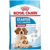 ROYAL CANIN Medium Starter Mother & Babydog Dry dog food Poultry 15 kg