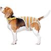 CAPASTEC Pannolini Riutilizzabili per Cani Femmine Giallo 1 Pezzo Cotone | Con Bretelle Regolabili, Taglia Grande, Per Periodo mestrual, Adatto Per Teddy, Corgi, Chihuahua, Pinscher Miniatura