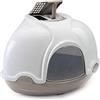 Imac Ginger