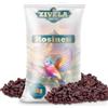 ZIVELA 5 kg di uvetta naturale per uccelli, ideale per i vostri amici piumati, 100% naturale, uva passa per uccelli 5 kg, mangime per uccelli selvatici, mangime per tutte le stagioni, ad alta energia