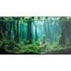 Didooou Sfondo naturale per acquario, sfondo acquario, adesivi per acquari, 30 cm, 40 cm, 50 cm, 60 cm, 80 cm (foresta acquatica 2, 30 x 50 cm)