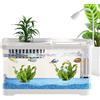 Ungtyb Betta Fish Aquariums - Kit piccolo serbatoio per principianti, ciotola trasparente con mangiatoia, acquario paesaggistico da scrivania per gamberetti, guppy, lumache, tartarughe, meduse, amanti degli