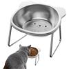 Generico Ciotole Rialzate per Gatti | Inclinata a 15° in Acciaio | per Acqua Antirovesciamento per Gattini - per Gatti e Cani, Animali Domestici, per Uso in Soggiorno, Interni,