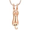 VCCWYQK Collana con urna per ceneri per animali domestici, ciondolo commemorativo in acciaio inox per contenere ceneri ricordo gioielli per gatto (D)