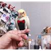 KUSO Pappagallo Pannolino Riutilizzabile Lavabile Pannolini Vestito Vestito Kimono Vestiti per Uccelli Budgie Parrocchetto Cockatiel Conure Cacatua Africano Ara (XXL, Nero)