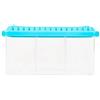 Qcwwy Piccolo Acquario per Pesci Betta, Acquario in Acrilico Staccabile 3 Aree Mini Acquario Acquario Rettangolare Trasparente Kit Serbatoio per Pesci Ciotola per Pesci Piccolo