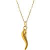 Generic Collana in argento sterling 925 con corno italiano colorato per donna uomo, Cornicello - Ciondolo, Collana con peperoncino, Compleanno