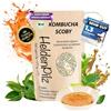 HeldenPilz Fungo da tè biologico Kombucha - Scoby vitale e potente con liquido di radice | Per 6 litri di kombucha | Garanzia di successo | 100% naturale, durevole