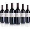 Azienda Agricola Salizzoni 6 BOTTIGLIE VINO ROSSO MARZEMINO TRENTINO DOC | SALIZZONI