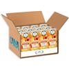 Generico 12X Tisana Fredda Beauty Vitalità Gusto Fragola e Limone con Zero Calorie per l'angelica 240ml