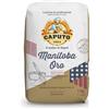 Generico Caputo Farina Manitoba Oro 0, Alta Forza, 1 kg, Confezione da 10