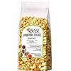 ITALIA SPEZIE Anacardi Tostati non Salati interi 1 Kg, Tostati, non salati, senza conservanti. Anacardi senza sale qualità Extra. Frutta secca di primissima scelta. Italia Spezie