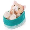 NICI Gattino Giocattolo in Cestino Verde-Azzurro 16 cm - Sleeping Kitties Gattini addormentati - Morbidi micetti tigrati per Bambini, Ragazze e Ragazzi - Peluche Gatti per Gioco, Coccole e Nanna
