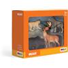 MOJO - Woodland Wonderland Starter Set con Lynx iberica, Orso Grizzly, Cervo dalla coda bianca Buck e Lupo in piedi | Figura giocattolo dipinta a mano | Collezione Woodland