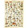 MyPuzzle.com MyPuzzle Champignons - Funghi Per Tutti, Poster D'epoca, Adolphe Millot - Premium 200 Pezzi Puzzle - MyPuzzle Collezione speciale di Havana Puzzle Company