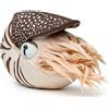 PuffPurrs Peluche nautile simulazione 20 cm, vita realistica in peluche nautile a camere, giocattolo di vita marina morbido, regali per bambini