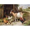 PEKNUX 1000 Pezzi Puzzle In Legno Con Decorazioni Per La Famiglia Di Galline E Capre Della Fattoria, Adatto Per Adolescenti E Adulti