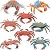 Whyzsjnclg 8 Pezzi di Figurine di Granchio Assortiti Artificiali e realistici, robuste Figurine di Animali marini in PVC, Giocattoli educativi interattivi per Bambini, di Animali marini
