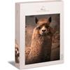 Ulmer Puzzleschmiede - Puzzle Regina delle Ande - L'alpaca come classico puzzle da 1000 pezzi, qualità Made in Germany - Ritratto di alpaca come puzzle pesante per adulti