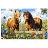 Kinntn Puzzle 2000 Pezzi, Puzzle 2000 Pezzi per Adulti, Gioco Educativo Fai Da Te con Scatola Regalo per Adulti, Legno Spesso e Resistente, Impegnativi Rompecapo, Regalo Donne e Uomo, Tema: Cavallo, H-85