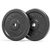 PROIRON Dischi Palestra in Ghisa con Diametro Ø 25mm-Dischi per Bilanciere e Manubri 1,25kg 2,5kg 5kg 10kg