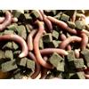 Generico Verme da Pesca Bibi Import Made in Italy - Esca da Pesca - 10-12 capi vivi