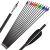 Poearcus Freccia in Carbonio per tiro con L'Arco 500 Spine Freccia di Caccia 30 Pollici Piume di Tacchino Bersaglio Freccia Pratica per Arco ricurvo Arco Compound Longbow (12, Nero)