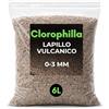 CLOROPHILLA Lapillo Vulcanico 0-3 mm Naturale - Inerte per Drenaggio, Substrati e Top Dressing - Origine Italiana - Ideale per Cactus, Succulente e Bonsai (6L)