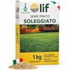 AND HOME Semi Prato Soleggiato 32 mq - Semi Prato Crescita Rapida Resistenti a Caldo e Siccità - Tappeto Erboso Fitto, Verde Intenso, Facile Manutenzione - Germinazione Rapida in 14 Giorni, 1KG