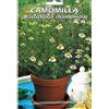 Mondonatura Vivai Le Georgiche Camomilla (Matricaria Chamomilla) Seme