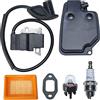 Gubeter Kit bobina di accensione marmitta , per parte motore Per Stihl Fs120 Fs200 Fs250, 4134 140 0602, 4134 141 0300, 4134 400 1301