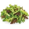 Generico Semi Lattuga da Taglio in Misticanza 6g | Mix Insalate Multivarietà | Semi Alta Germinazione | Raccolto Continuo | Ideali per Orto, Balcone e Vaso | Semi Professionali