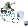 DORFEY Kit guarnizioni cuscinetto paraolio albero motore 51 55, pistone 45 mm 46 mm, adatto for motosega H-u-s-q-v-a-r-n-a 50 51 55 EPA for Rancher 503573806(Crankshaft 50 51)