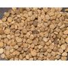 SVI 200 SEMI STRATIFICATO AMERICAN Panax ginseng quinquefolius l